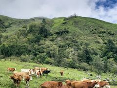 -硗碛藏寨·神木垒景区