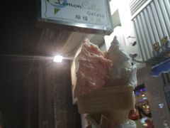-柠檬车露(卖草地店)