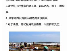 -红树林天天赶海