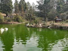 -云南野生动物园