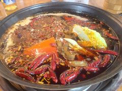 -青年火锅(吾悦广场直营店)