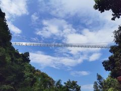 -四会奇石河风景区