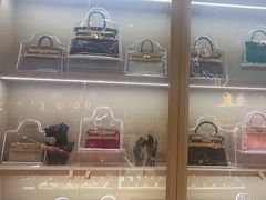 -FUN LUXURY范加奢品(蟠龙天地店)