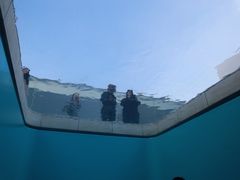 -金泽21世纪美术馆