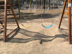 -大兴滨河森林公园