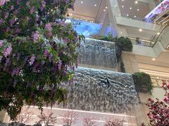 -赛格国际购物中心(小寨店)