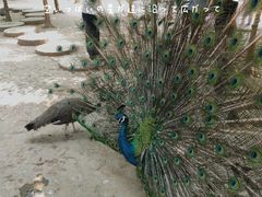 -济南野生动物世界