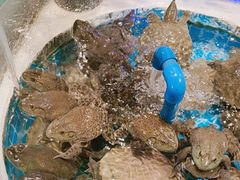 -享遇.锅姥姥牛排海鲜自助(小寨店)