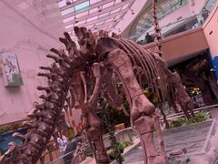 -陕西自然博物馆