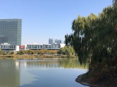 -大兴滨河森林公园