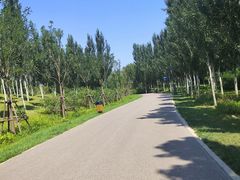 -东郊湿地公园