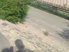 -新疆天山野生动物园