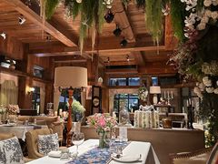 -一棵树·意大利西餐厅One Tree(新城店)