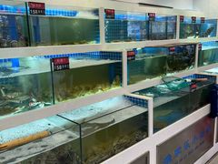 -渔家乐小海鲜(皇姑店)