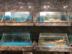 水产区-得尔乐大酒店(南塘店)