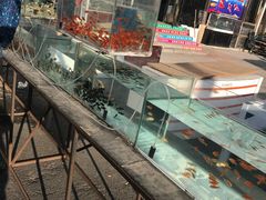 -哈尔滨道外花鸟鱼市场