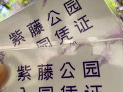 -嘉定紫藤园