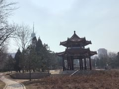 -富斯特索道