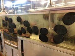-海上人家The Sea Food Paradise Restaurant & Bar