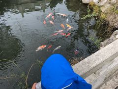 -杭州西湖柳莺里酒店·闻莺厅