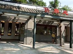 -南丹山森林王国