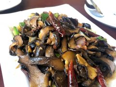 -野菌皇海景野生菌火锅(滨海大道店)