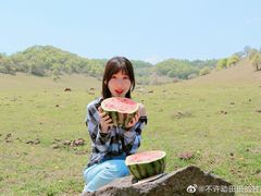 -关山草原