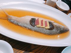 -乔家栅(襄阳南路店)