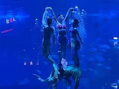 -烟台海昌鲸鲨海洋公园
