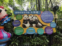 -广州长隆野生动物世界