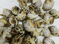 -张树军海鲜(王府壹号店)