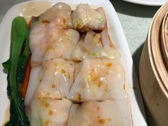 -南枝记