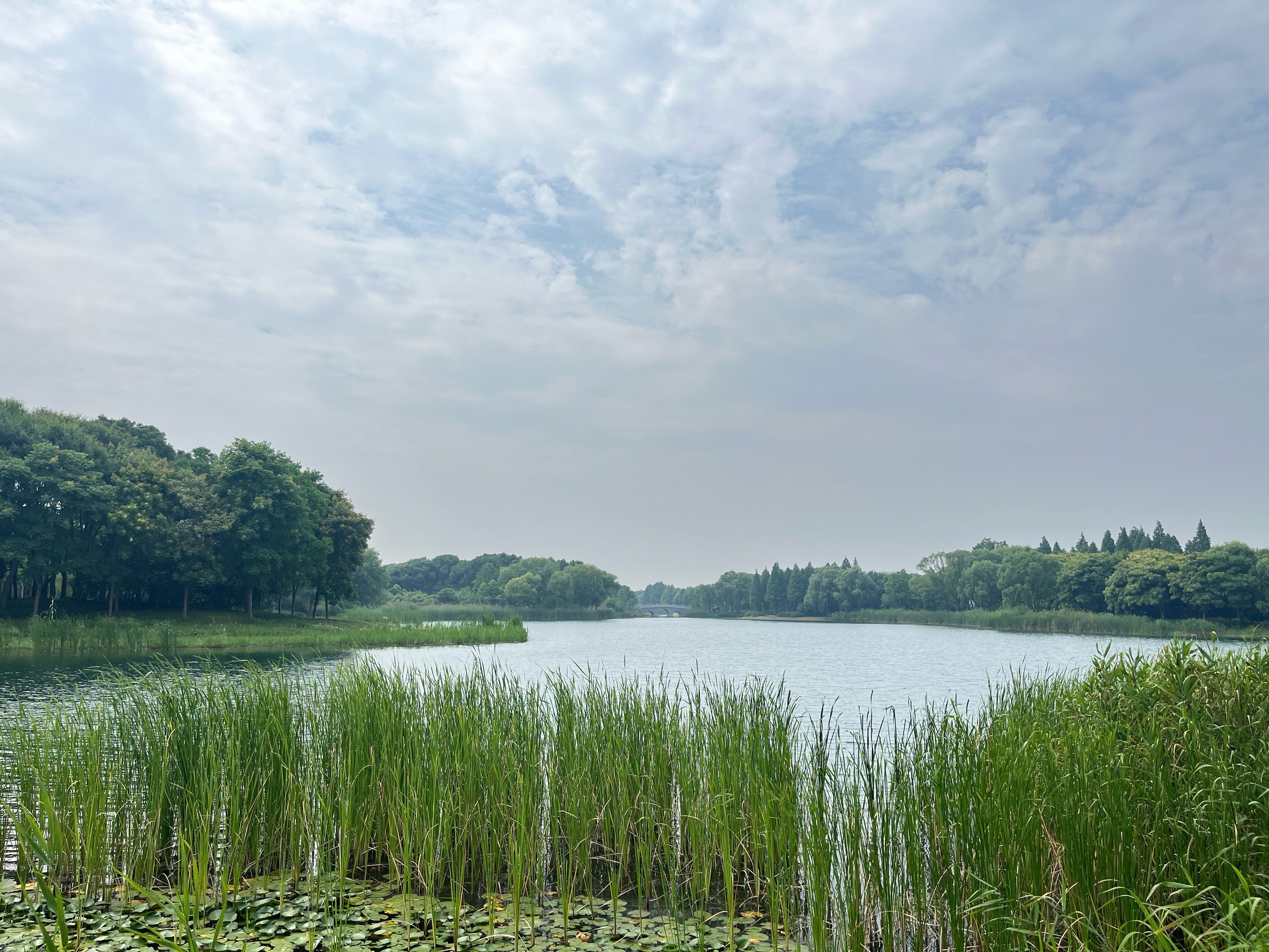 苏州虎丘湿地公园图片