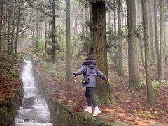 -庐山风景区花径公园