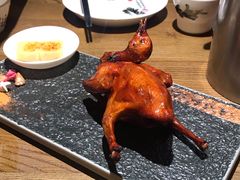 -大鸽饭(岗顶店)