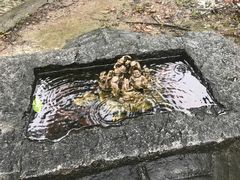 -绮园景区