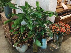 -绿房子方寸咖啡(星海名城店)