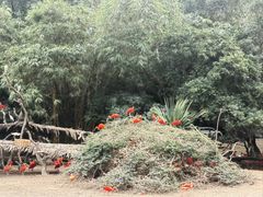 -广州长隆野生动物世界