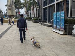 -观澜湖新城运动奥莱区