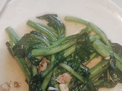 -老广酒楼(樱花店)