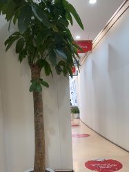 -郑荃丽格医疗美容
