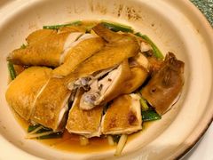 招牌花雕鸡-北园酒家(小北路店)