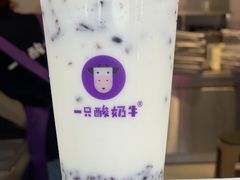 -一只酸奶牛(八一路店)