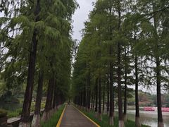 -圩墩遗址公园