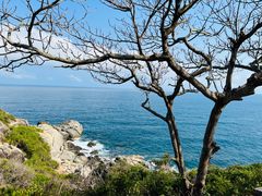 -三亚蜈支洲岛旅游区