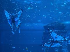 -南昌融创海世界