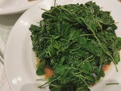 -金时代顺风大酒店(协泰店)