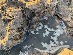 -碧海金沙