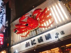 -蟹道乐(道顿堀本店)
