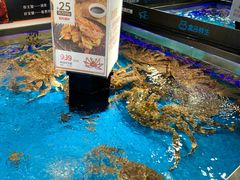 -盒马鲜生(岭南新世界店)